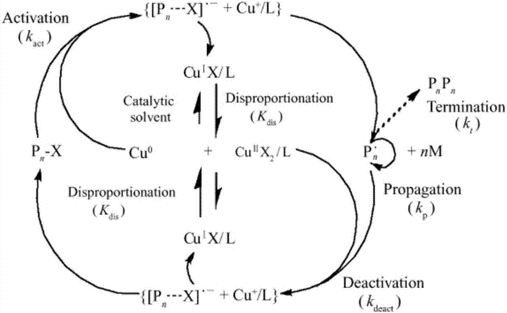 单链超内环化聚合物及其制备方法与流程