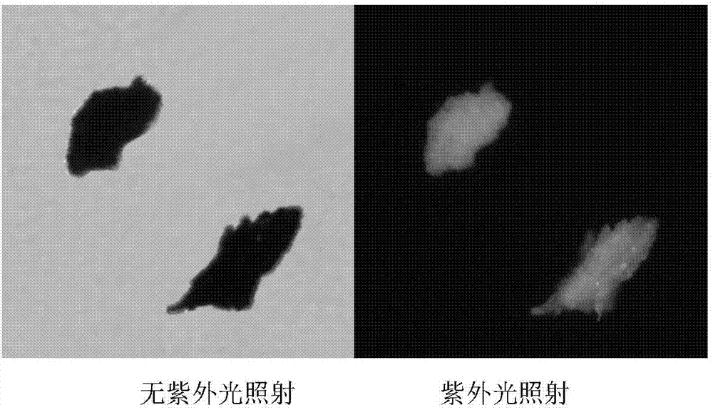 一種改性納米氧化鋅/環氧樹脂復合材料及其制備方法與流程