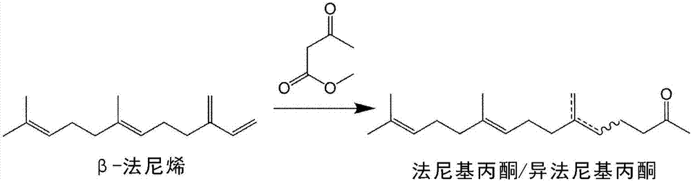 制造6,10,14‑三甲基十五烷‑2‑酮的方法与流程