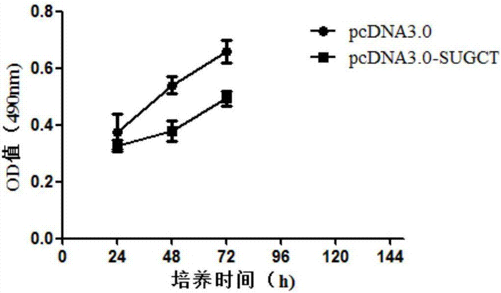 一種診治結腸腺癌的分子標志物的制作方法與工藝