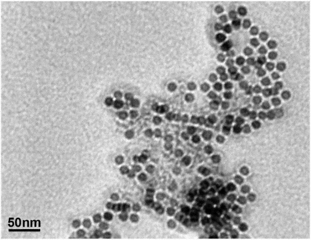 一种铜离子荧光检测的纳米杂化材料及其制备方法、应用与流程