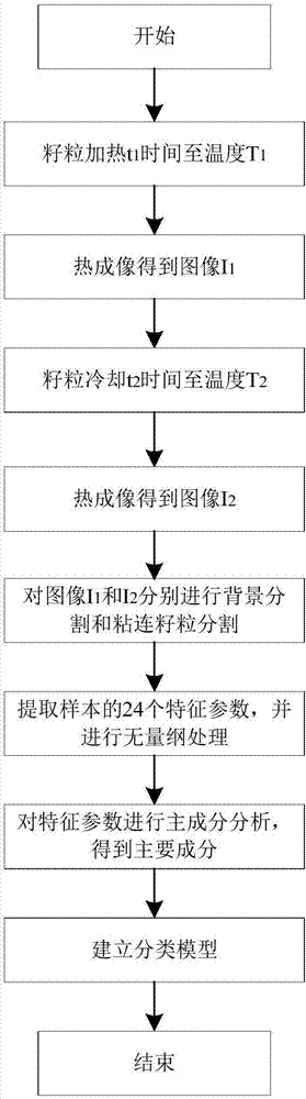 一种粮食虫蚀粒早期检测方法及装置与流程