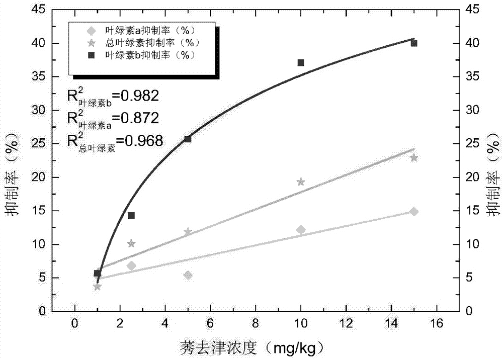 一种应用蚕豆评价土壤残留莠去津生态毒性的方法与流程