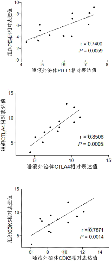 PD‑L1、CDK5和CTLA4中的至少一种在制备肿瘤诊断试剂盒中的用途的制作方法与工艺