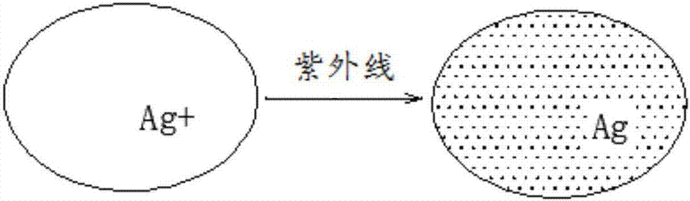 賓主型液晶器件及其制造方法與流程