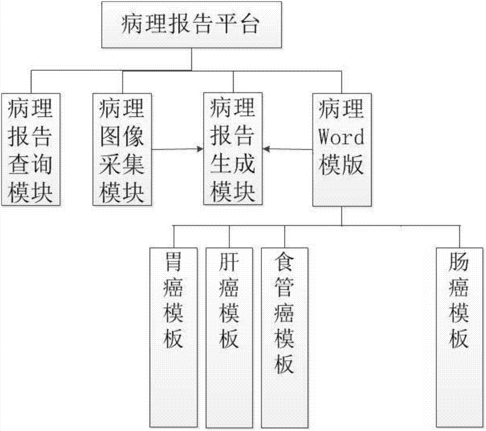 適用于肝癌及消化道癌的病理診斷報告生成系統(tǒng)及方法與流程