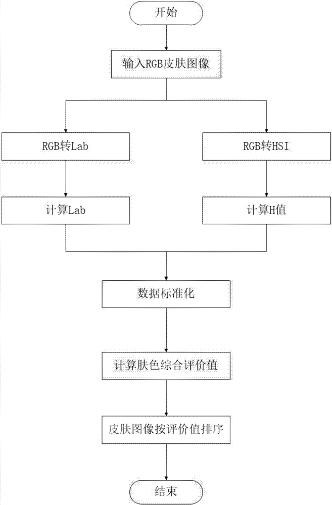 基于HSI和Lab混合顏色模型的皮膚膚色評價方法與流程