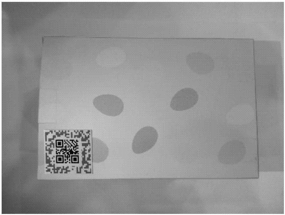 双标签型防伪标签的制作方法与工艺