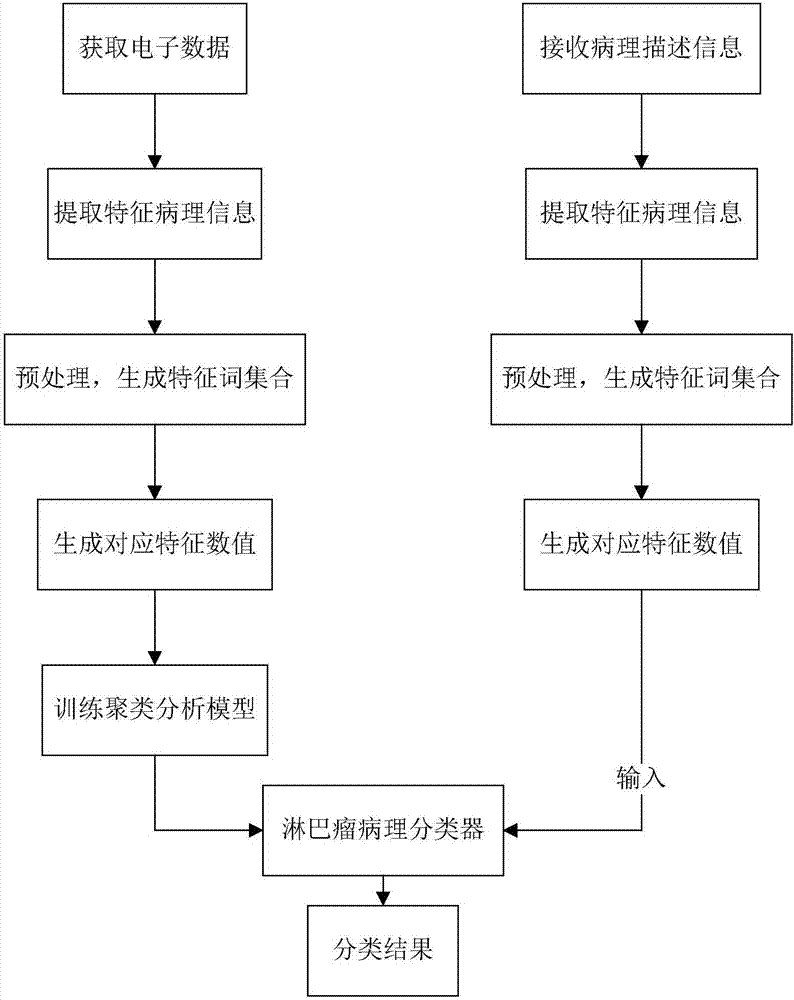 一种淋巴瘤病理类型的智能分类系统和方法与流程