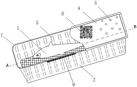 野化有機(jī)漁靜養(yǎng)方法及其商品包裝野化有機(jī)活漁與流程