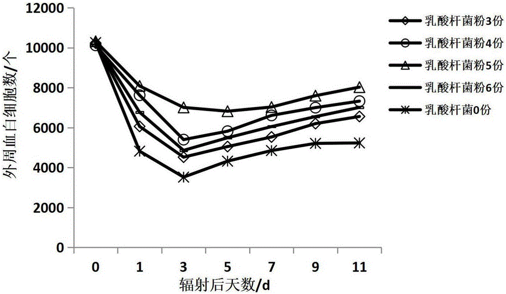 一种乳酸菌茶的制作方法与工艺