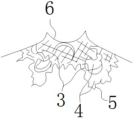 具有蕾丝拼接面料的服装的制作方法与工艺