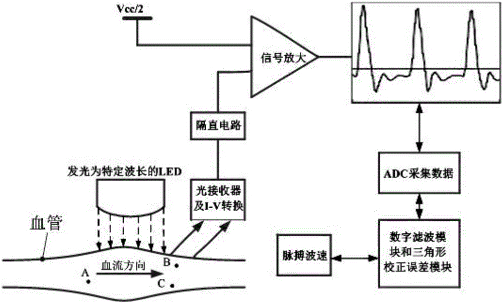 一种基于光反射法在小范围内测量脉搏波速的装置及方法与流程