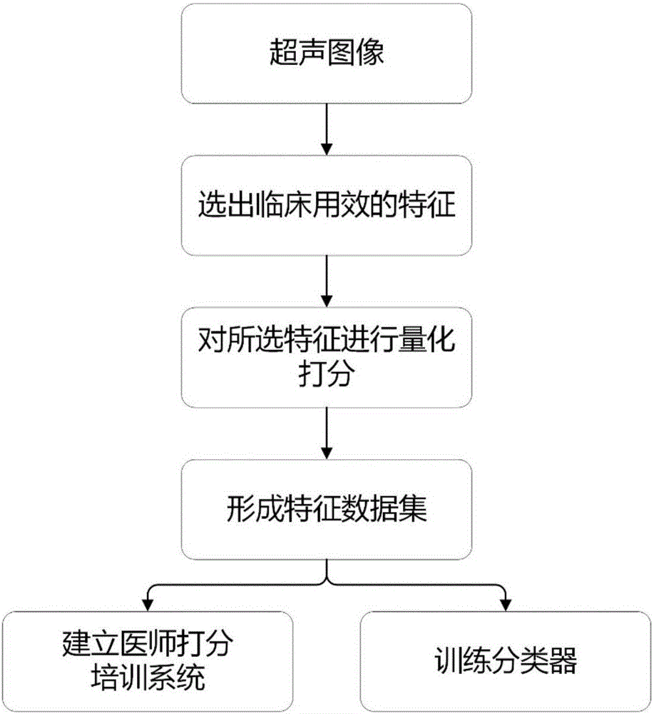 基于人工打分的超聲腫瘤特征獲取方法與流程