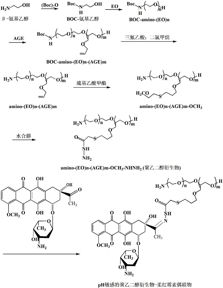 pH敏感的聚乙二醇衍生物‑小分子药物偶联物聚合物胶束在炎症靶向递药系统中的用途的制作方法与工艺