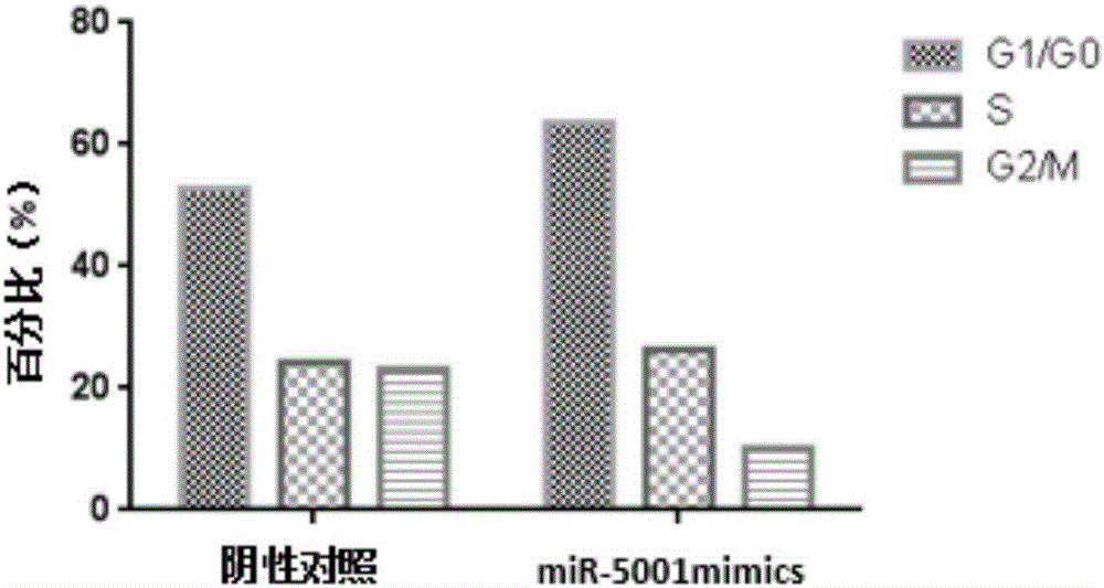 miR‑5001在制备治疗白血病的药物中的应用的制作方法与工艺