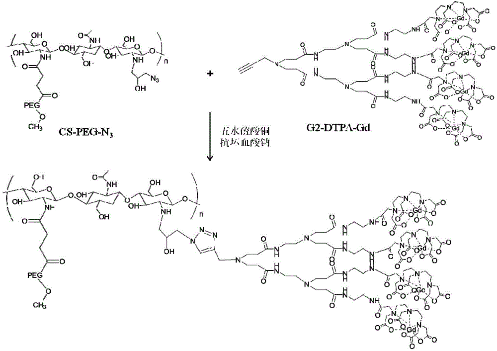 壳聚糖衍生物为载体的MRI造影剂及制备方法与流程