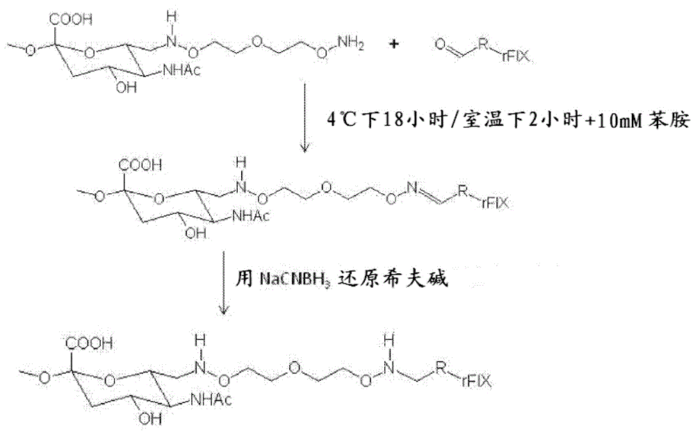 凝血蛋白綴合物的制作方法與工藝