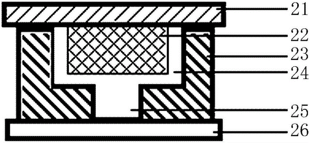 微流控芯片系統(tǒng)及應(yīng)用該系統(tǒng)進(jìn)行等溫擴增與檢測的方法與流程