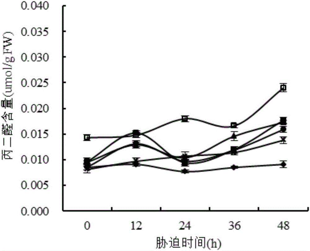 γ?氨基丁酸提高玉米耐鹽脅迫能力的用途的制作方法與工藝