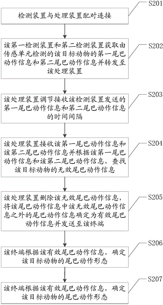 一種檢測動物尾巴動作的方法和系統(tǒng)與流程