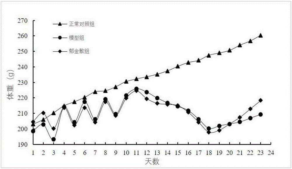 一种建立湿热泄泻动物模型的方法与流程