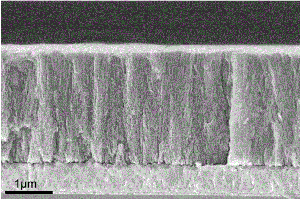 大面积单晶多孔二氧化钛薄膜及其制备方法与应用与流程