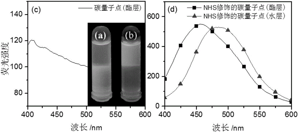 一種碳量子點的活化、分離及對牛血清蛋白分子進行熒光標記的方法與流程