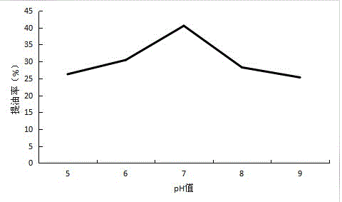 一種水劑法提取香榧籽油的工藝的制作方法與工藝