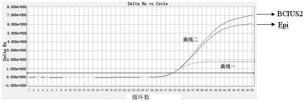 一種檢測Septin9基因甲基化的試劑盒及其應(yīng)用的制作方法與工藝