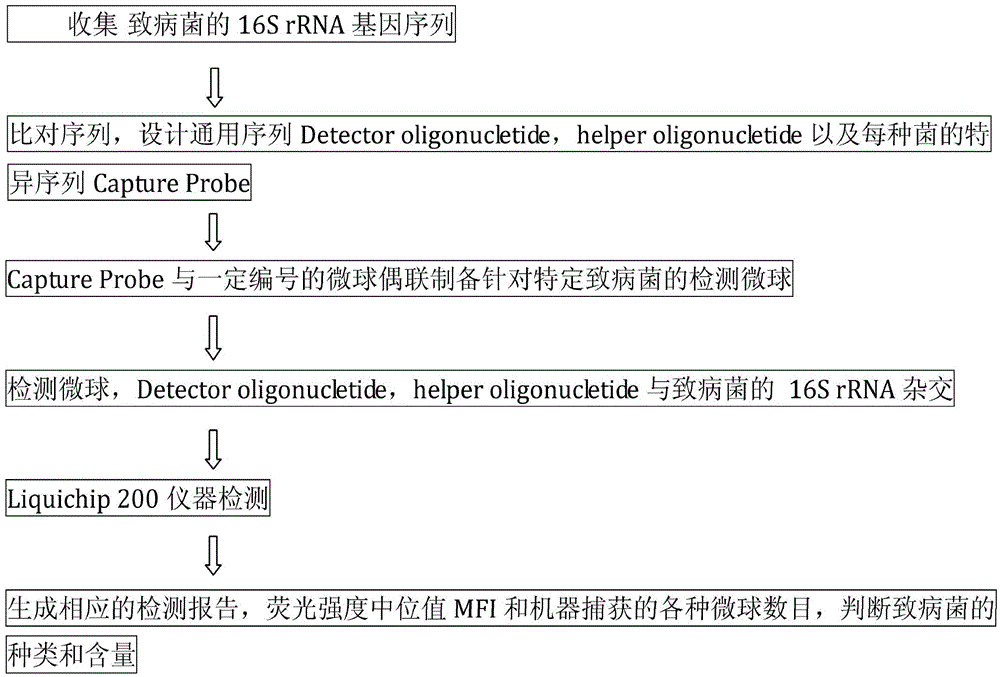 一种直接检测食源致病菌的高通量方法与流程