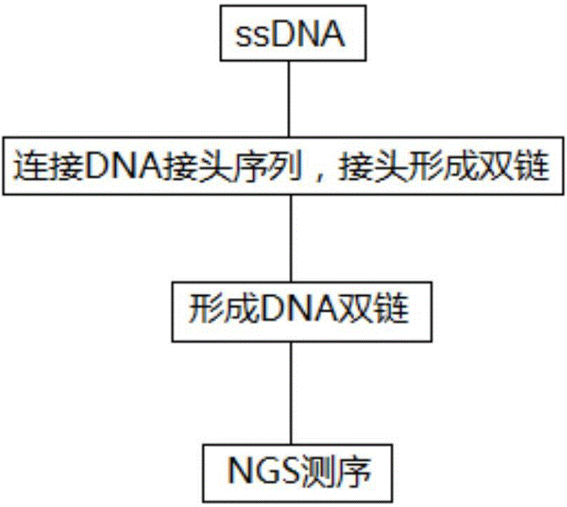 一种检测DNA序列的方法与流程