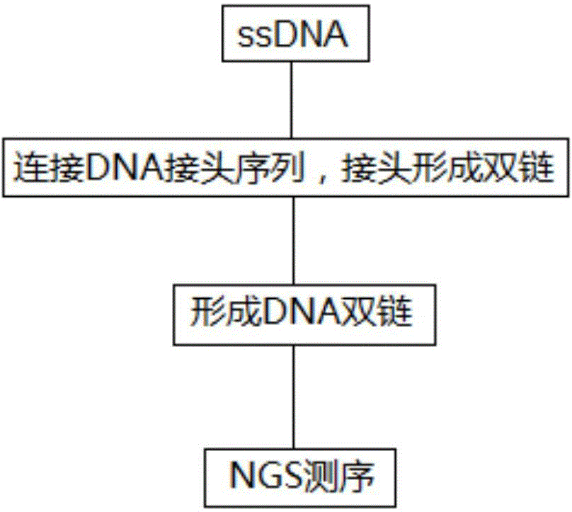 一種檢測(cè)DNA序列的方法與流程