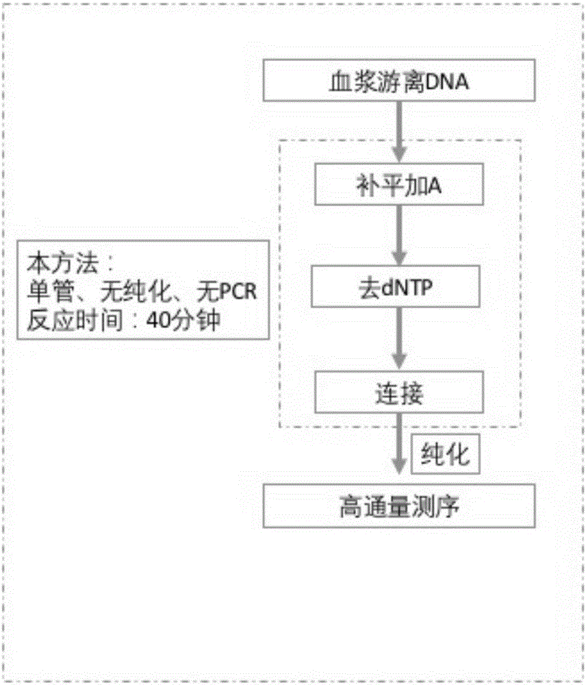 一种游离DNA文库构建方法及试剂盒与流程