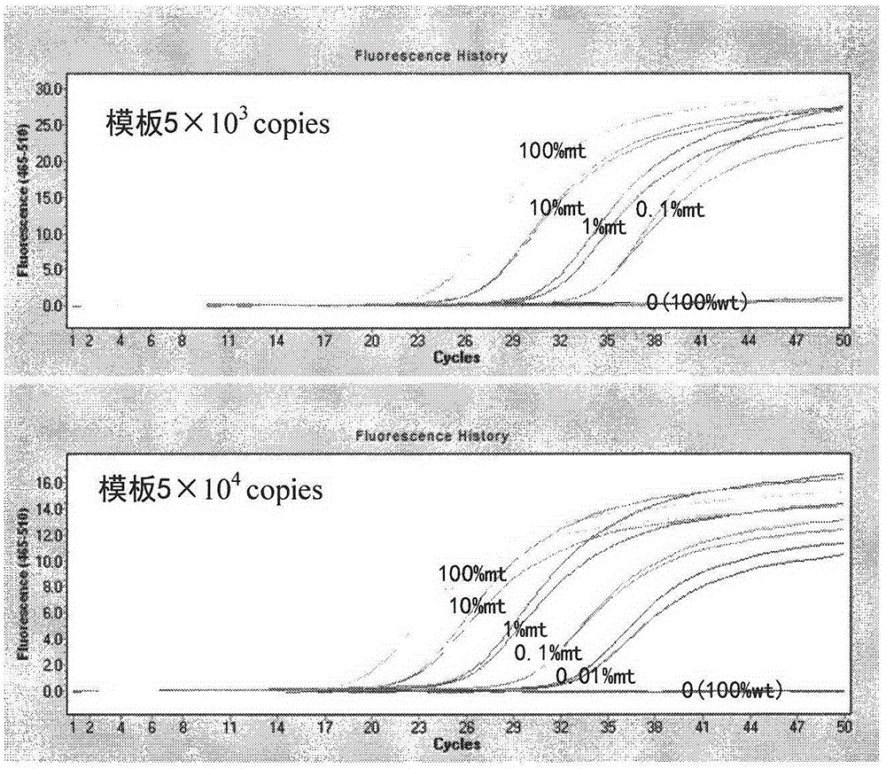 KRAS基因突變檢測試劑盒及其應(yīng)用的制作方法與工藝