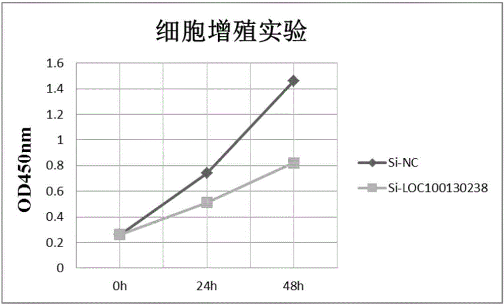 LOC100130238作为检测前列腺癌的分子标记物及其应用的制作方法与工艺