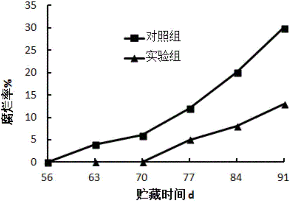 一種枯草芽孢桿菌、其篩選方法和用途及生物防腐劑、其制備方法以及果蔬防腐方法與流程