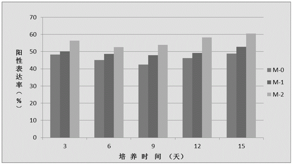 一种免疫细胞用培养基及该培养基的添加剂的制作方法与工艺