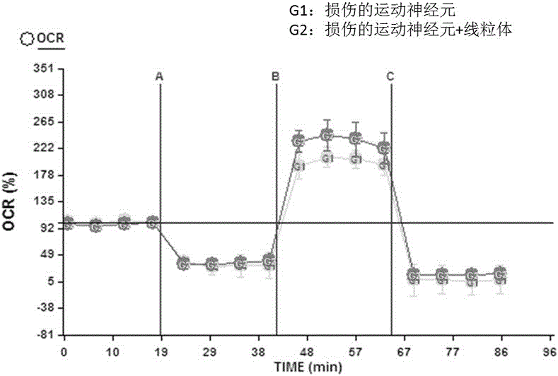 一種適用于干細(xì)胞的線粒體分離方法與流程