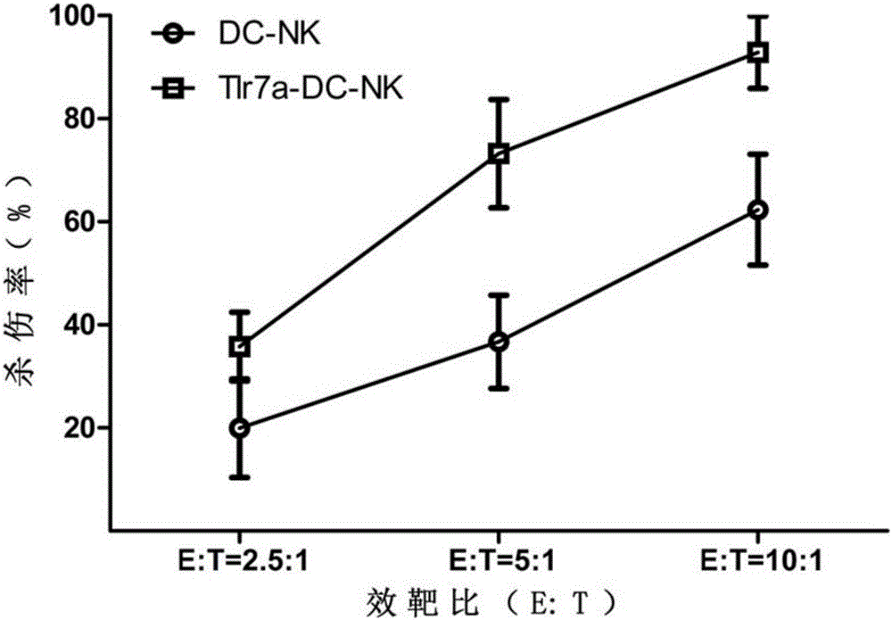 一種Tlr7a誘導(dǎo)增強型DC?NK細胞的制備方法與流程