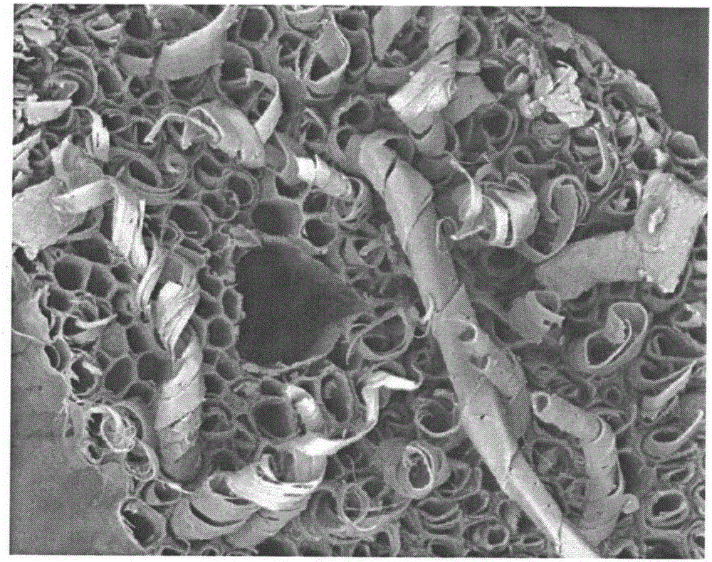以废弃椰壳纤维制备亚微米螺旋纤维的方法及用途与流程
