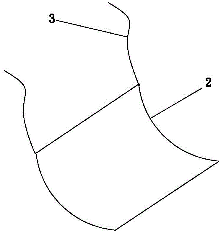 藍(lán)藻治理用水生水草種植方法與流程