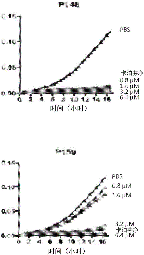 抗微生物多肽及其用途的制作方法与工艺