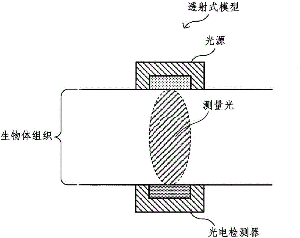 測量裝置、測量方法、程序和記錄介質(zhì)與流程