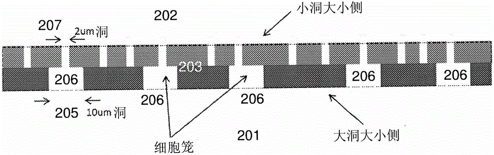 用于細(xì)胞分離、生長(zhǎng)、復(fù)制、操作和分析的方法和裝置與流程