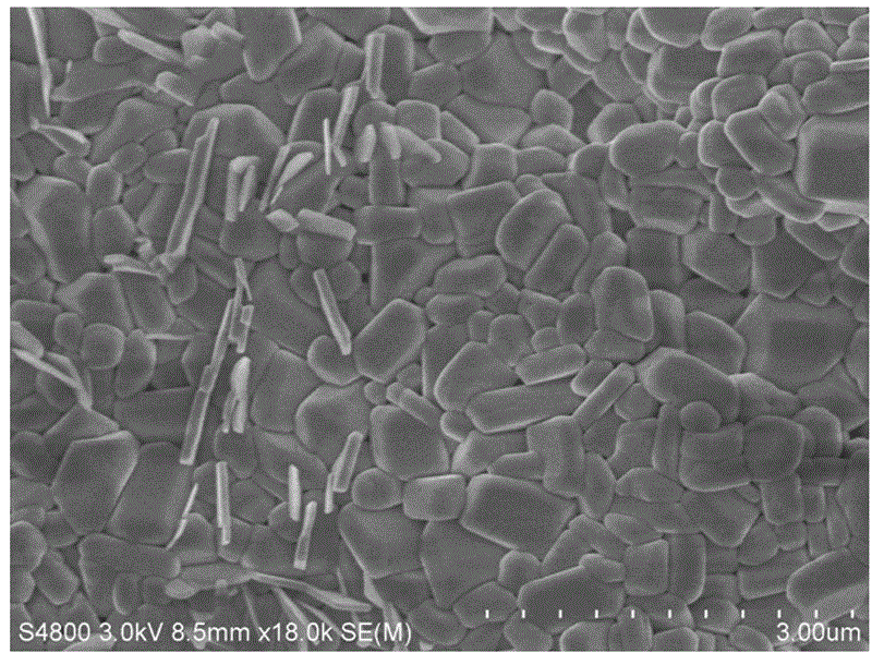 一种钼酸铬微纳米材料的制备方法与流程