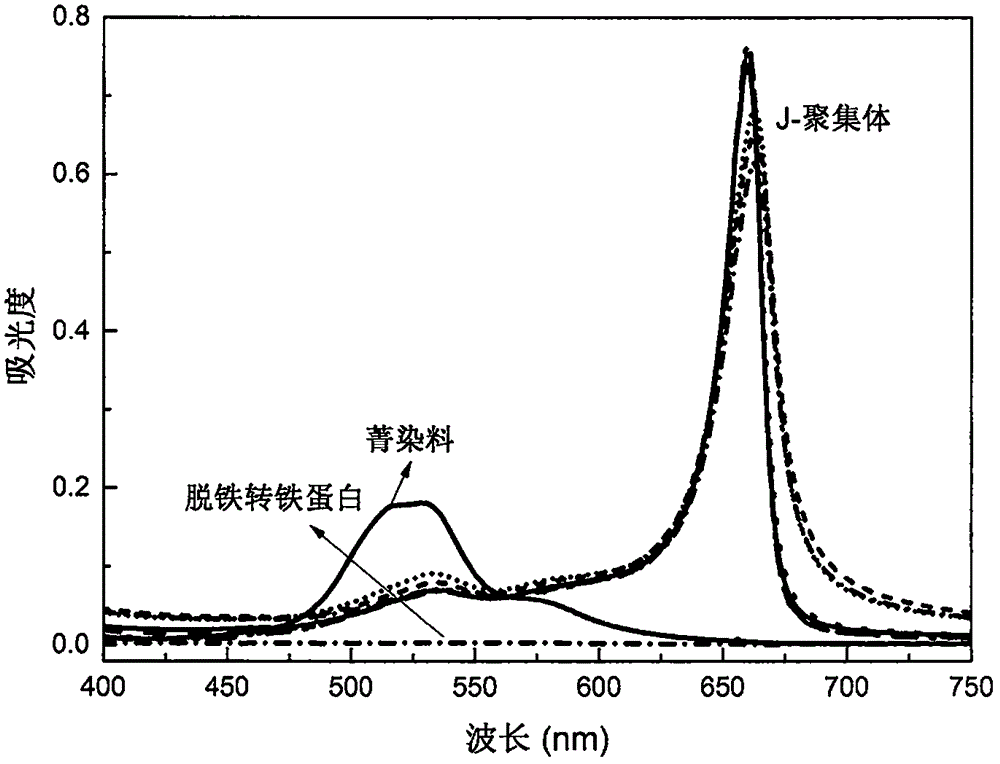 一種用菁染料可視化識別轉(zhuǎn)鐵蛋白的方法與流程