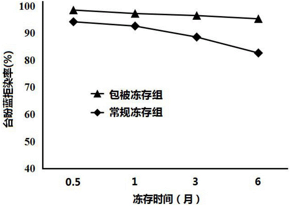 一種臍血造血干細胞凍存管的制作方法與工藝