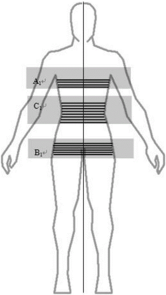 一种拍照自动计算人体体型的系统方法与流程