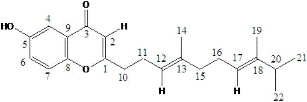 一种稳定的盐酸氨溴索注射液及其制备方法与流程